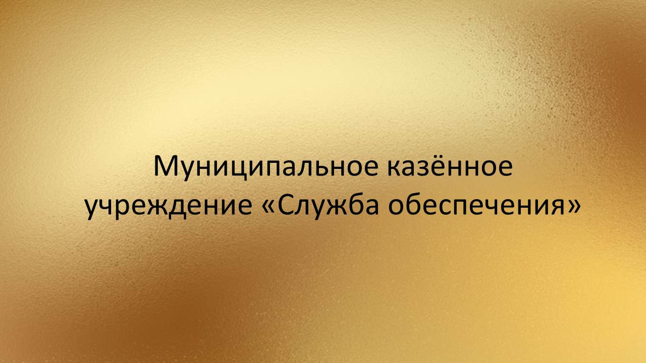 КСП муниципального округа Серебряные Пруды МО проведено контрольное мероприятие
